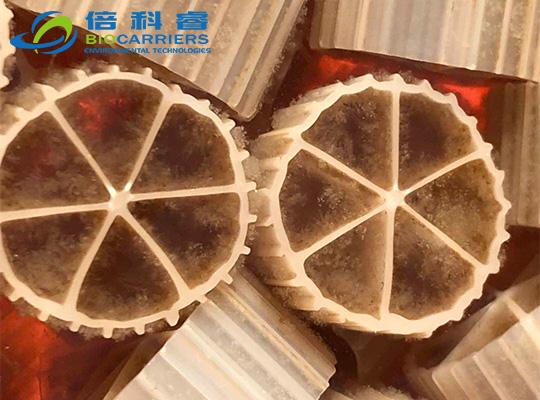 地埋式一体化设备挂膜图