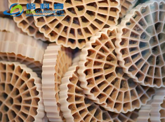 提标改造项目挂膜图