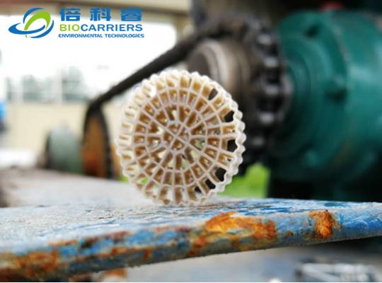 集装箱式一体化系统挂膜图