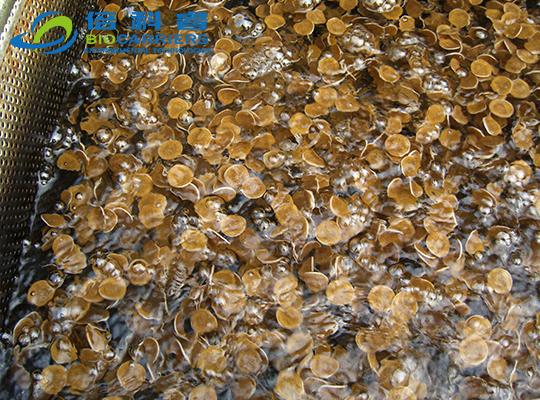 BioChips生物滤池