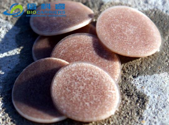 BioChips生物滤池挂膜图