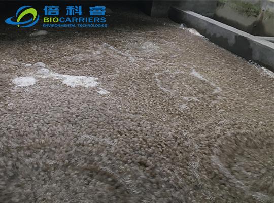 工厂化循环水养殖系统