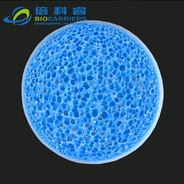 Biochip 生物薄片载体 BM-06